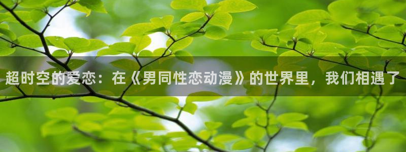 囧次元网站链接