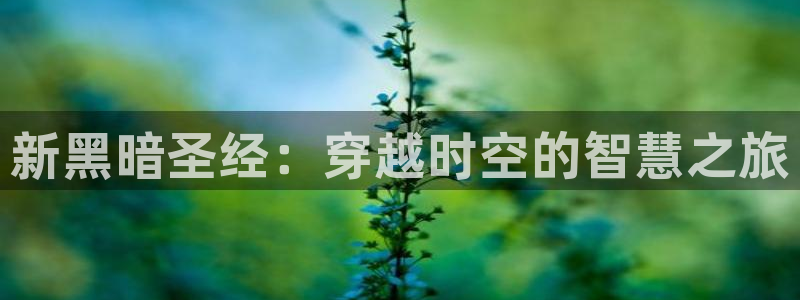 囧次元最新下载